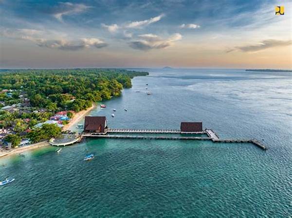 Tata Kawasan Wisata Lovina Dan Dana Rp25 Miliar Siap Pacu Pariwisata Lokal