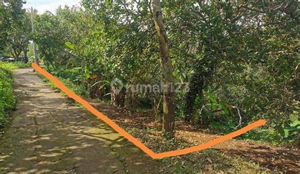 Harga Tanah 1 Are Di Buleleng