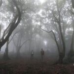 Pandangan Lokal: Kisah 12 Pendaki Tersesat Di Gunung Sanghyang: Mengapa Masih Banyak Yang Abai Aturan Keselamatan?